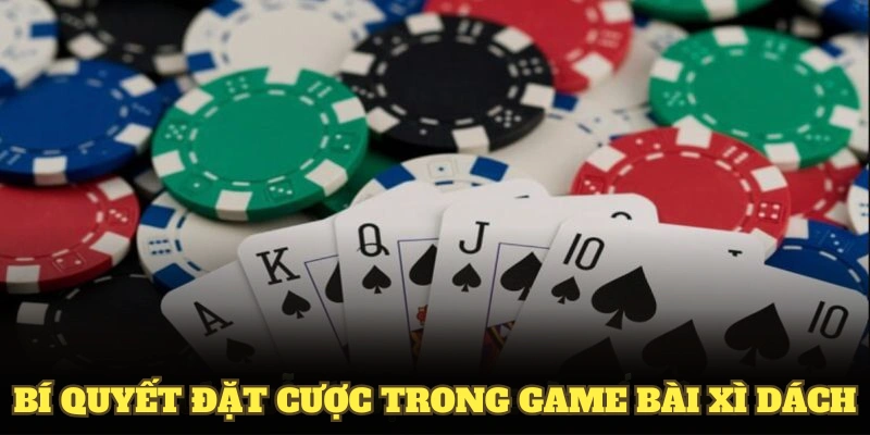 Một số bí quyết đặt cược trong game bài Xì Dách